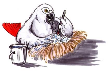cartoon African Grey parrot wetting down a nest with a brush