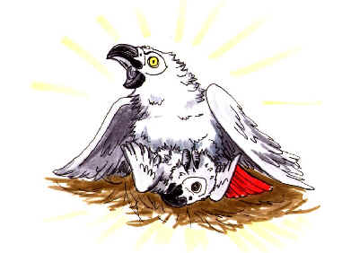 cartoon mother African Grey defending nest with chick